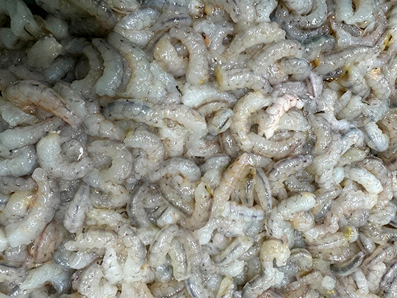 瀬戸内産白エビのムキ身