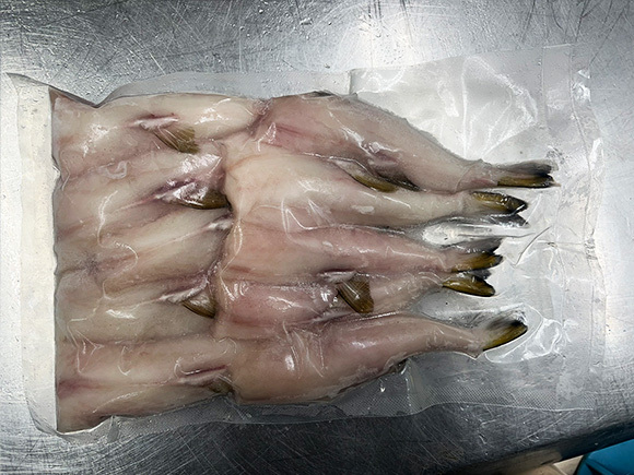 シロサバフグ（キンプク） むき身　中