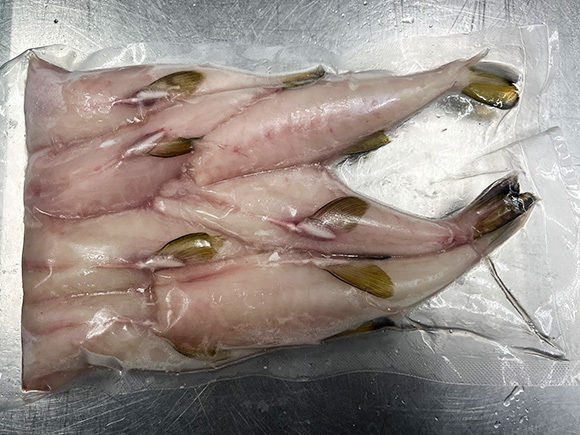 シロサバフグ（キンプク） むき身　大